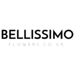 Bellissimo Flowers