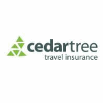 Cedar Tree